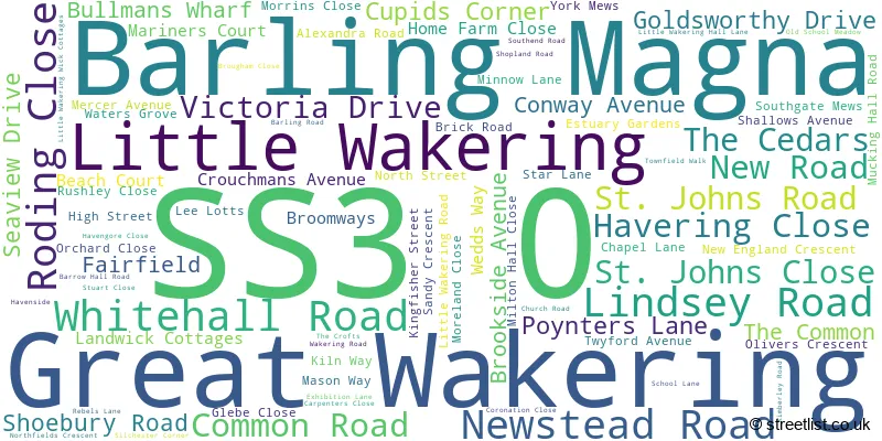 A word cloud for the SS3 0 postcode